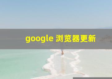 google 浏览器更新